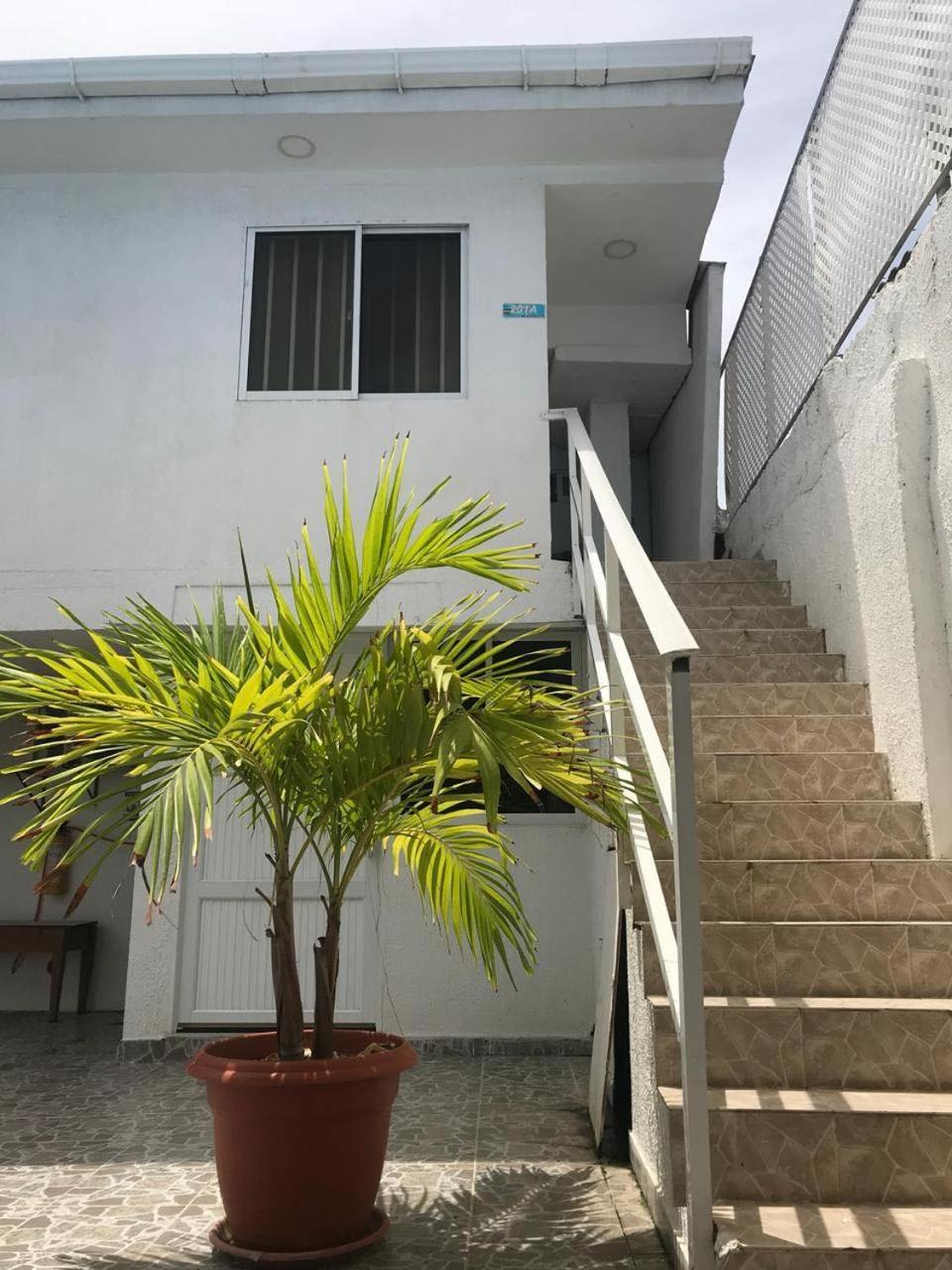 فندق Tropical Dreams San Andrés المظهر الخارجي الصورة
